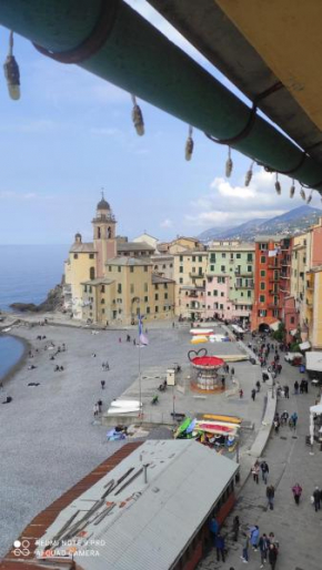 Blue Windows Camogli